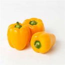 Yellow Capsicum 1kg