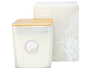 Great Barrier Reef Candle