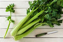 celery whole