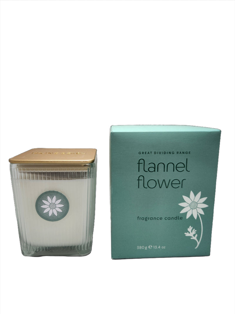 Flannel Flower Candle 380g