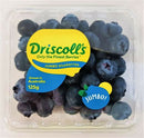 Blueberries Jumbo Punnet 2 for $12