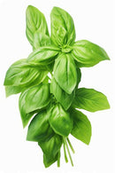 Basil Each
