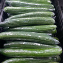 Continental Cucumber 2 for $4