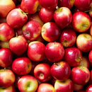 Missile Apple 1kg