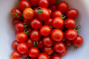 cherry tomato punnets