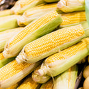 Sweet Corn