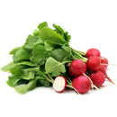 Radish