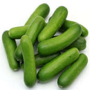 baby Cucumber 1kg