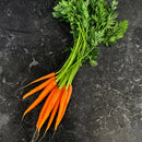 carrot bunch