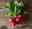 Australian fresh Radish
