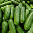 Baby Cucumber