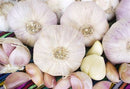 Mexican garlic 2 for 5