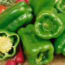 Green Capsicums ($6.00/kg)