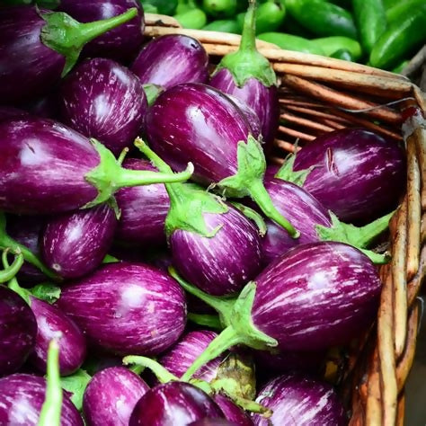 Purple Eggplant 1kg