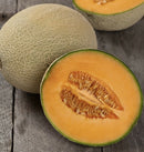 sweet Rockmelon