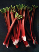 Australian Rhubarb