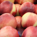 Local White Nectarines