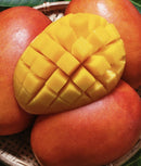 Australian large mango