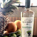 Pisco Santiago Queirolo Quebranta (PERU Wine)