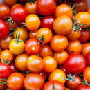 Mini Roma tomatoes