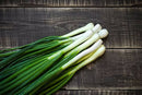 Spring Onion Bunch