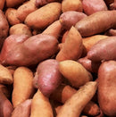 premium sweet potato