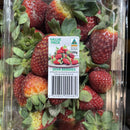 Strawberries (250g)