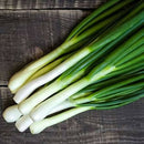 spring onion