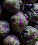 Brussel sprouts (Red)