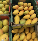 Sweet MAHA mangoes