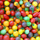 Rainbow Tomatoes