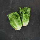 Twin Pack cos Lettuce