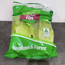 Baby cos lettuce