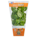 Basil Each
