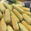 Sweetcorn