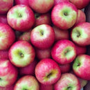 Pink Lady Apple