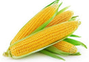 Sweet Corn 2 for $5