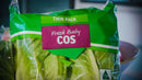Twin Pack cos Lettuce
