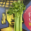 Celery
