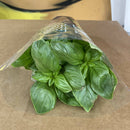 Basil (bunch)