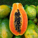 Sweet Red Paw Paw ($8.00/kg)