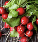 Local Grown Radish