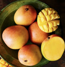Australian Huge mango