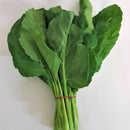 Chinese Broccoli (Gai Lan) ($2 per Bunch)