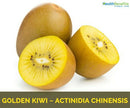 KIWI Gold 1kg