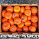 Mandarins Afourer 1kg