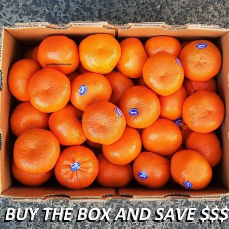 Mandarins Afourer 1kg