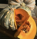 Pumpkin (Butternut or Japanese Kent)