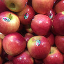Pink Lady Apples ($6.99 p/kg)