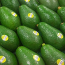 Shepard Avocados 4for5 dollars